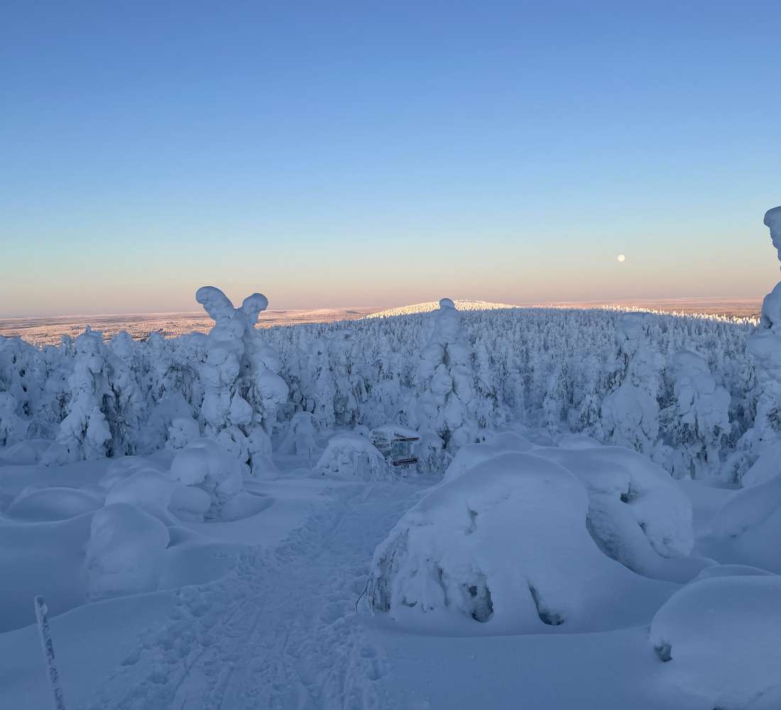 Visitpyhaluosto_Magical_frozen_forest_Luosto_lapland