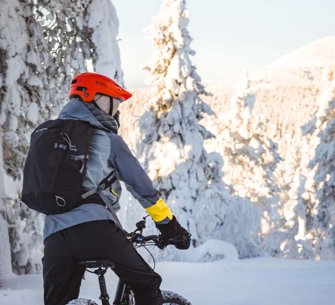 Luosto Electric Fatbike 10 (1).jpg