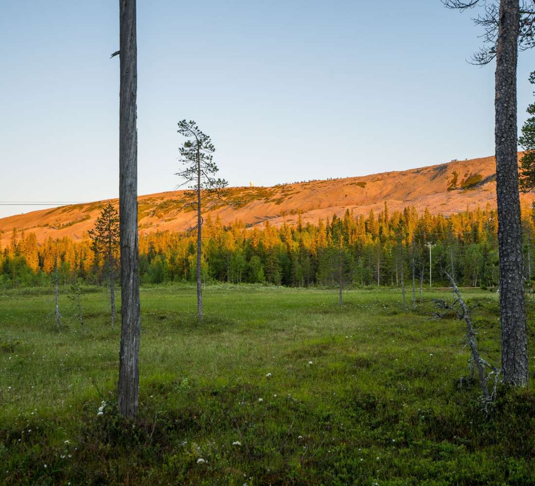 Ukko-Luosto iltaauringossa, Johannes Sipponen.jpg