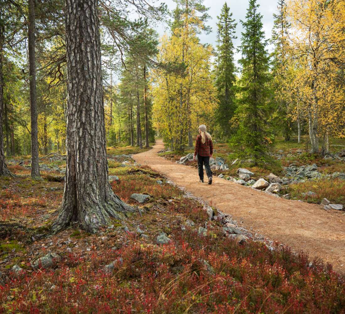 Visitpyhaluosto syksy kantapaavaara trail