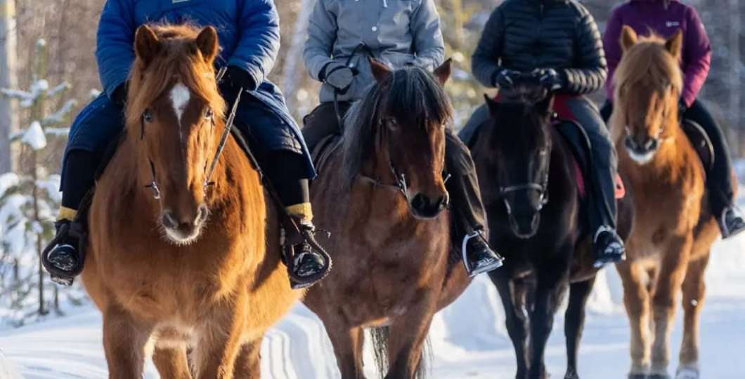 Outinen_horse_riding_centre