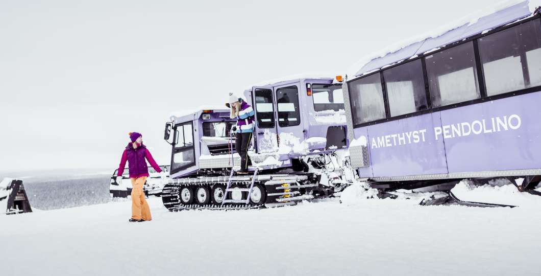 VisitPyhaLuosto_ametistipendolino