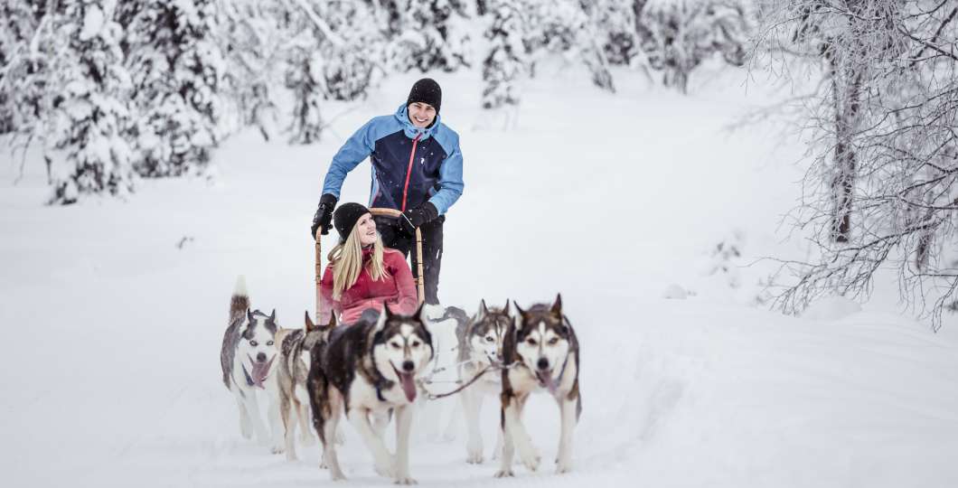 VisitPyhaLuosto_huskies VisitPyhaLuosto_huskies