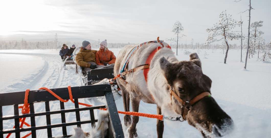 Reindeerfarms_Luosto