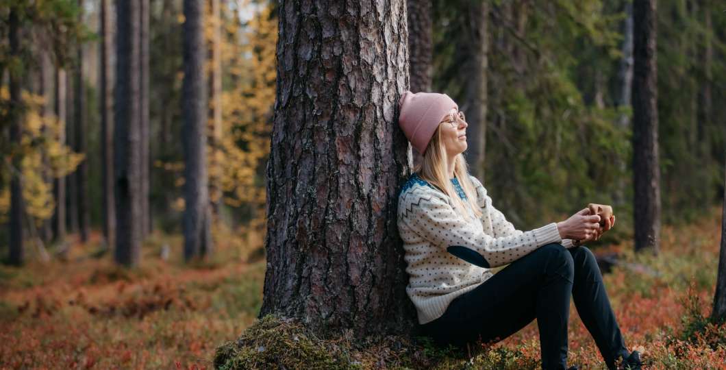 arctic_nature_autumn