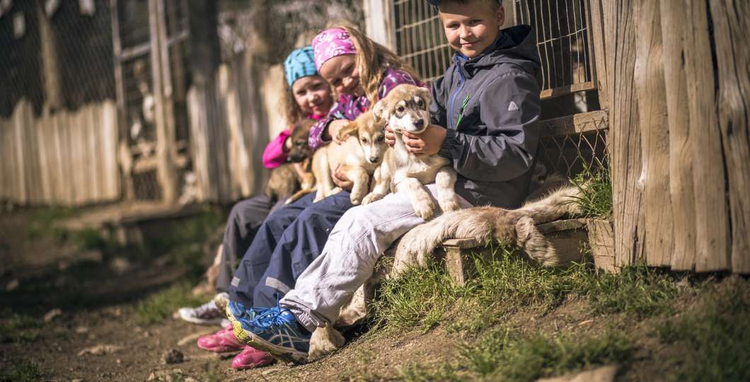 kesa_arctichuskyfarm