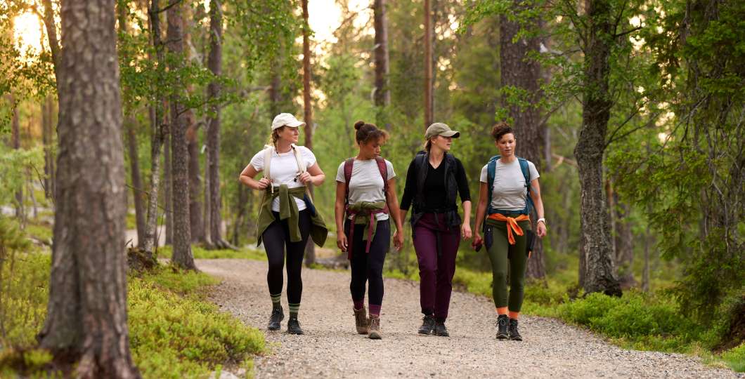 Falke_Pyha_Luosto_kansallispuisto