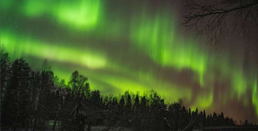 Pyhä Safaris