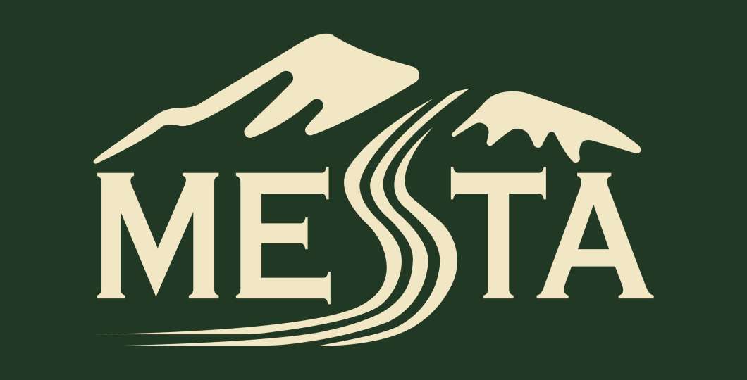 Mesta logo1