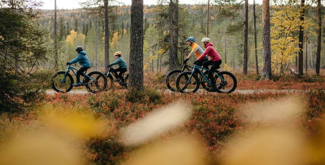VisitPyhaLuosto-maastopyoraily