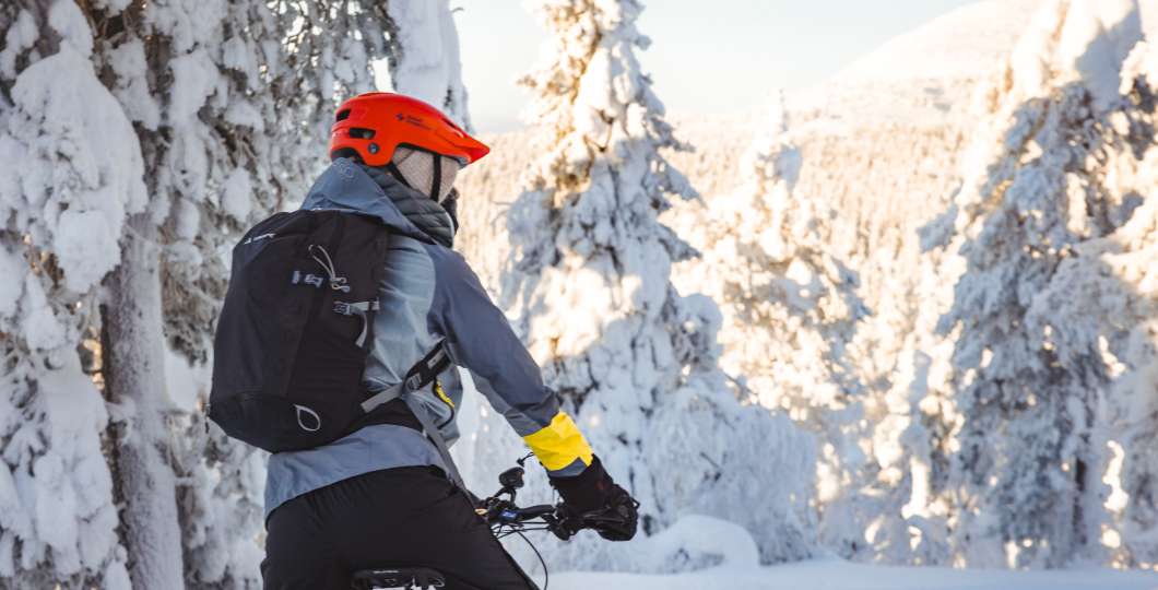 Luosto Electric Fatbike 10 (1).jpg