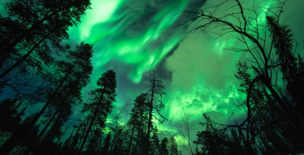 NorthernLights_arctic horizons.png