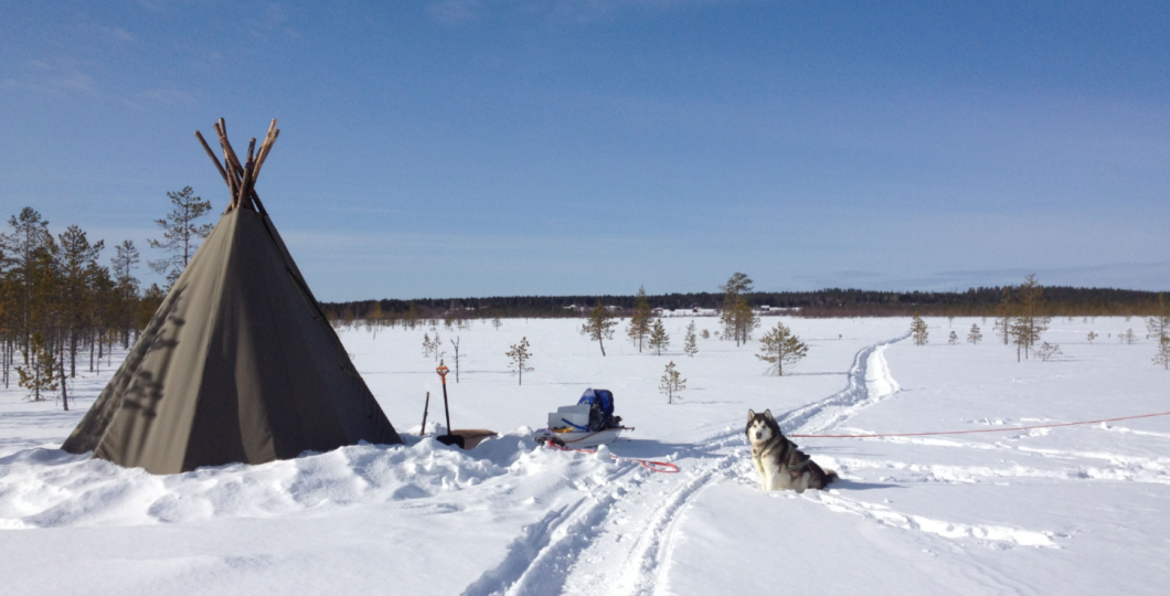 arctic horizons wintercamp.png