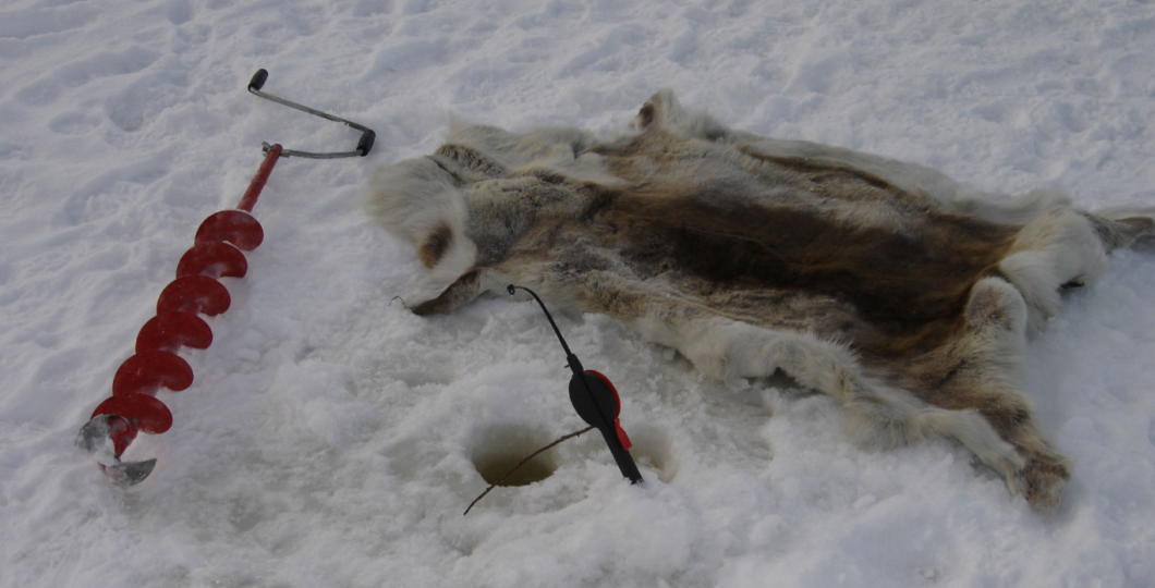 pilkki - Arctic horizons.png