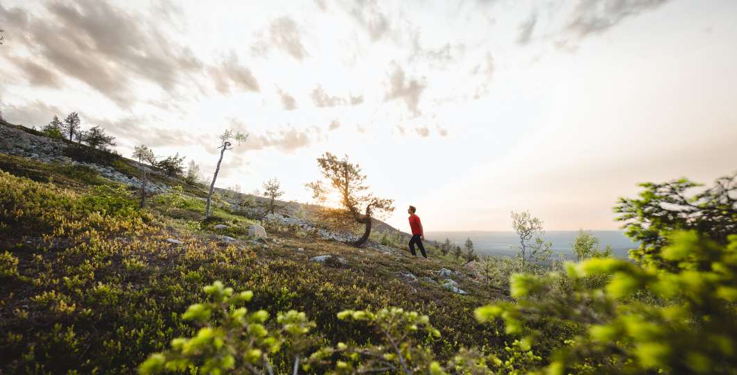 Visitpyhaluosto_Lehrke_Twins_Finnland-yötön yö