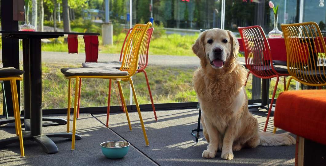 Thegoldenleevi_punakettu-luosto