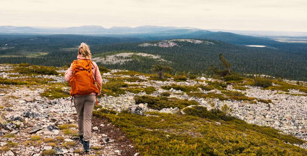 VisitPyhaLuosto-kansallispuisto- Parkkonen 